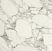 SERENISSIMA MAGISTRA PAONAZZETTO LUX RET 60X60