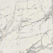 REX PREXIOUS MOUNTAIN TREASURE GLOSSY 755828 80X80