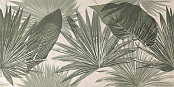FAP ROMA STONE TROPICAL VERDE MATT 80Х160 FRF9