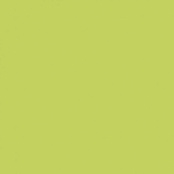 PARADYZ INWESTA GAMMA SELEDYNOWA SCIANA MAT 19,8 X19,8