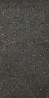 FIORANESE I COCCI GRAFITE 60X120