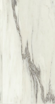 NAXOS SERENADE GRACE LEV RET 60X120