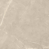 PARADYZ RITUAL TAUPE RECT 59,8X59,8X0,8
