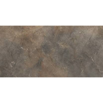 RAVIRAJ INOX BROWN MATT 60x120x1