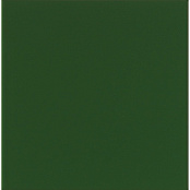 MAINZU CHROMA VERDE BRILLO 20x20