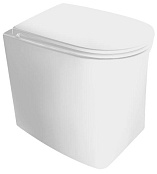 НАПОЛЬНЫЙ БЕЗОБОДКОВЫЙ УНИТАЗ AXA DP, БЕЛЫЙ МАТОВЫЙ (8401412)