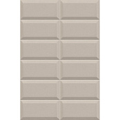 MAINZU PLUS BISSEL GRIS PLATA 10x20