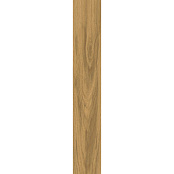 PARADYZ FREELAND GOLD SZKL RECT MAT 19,8X119,8Х0.8