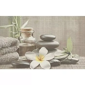 CERSANIT OLIVIA DEC GREY SPA1 25X40