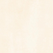 GOLDEN TILE STRADA 5N1520 BEIGE 60X60