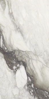 REX ETOILE RENOIR MATTE RET 120X280