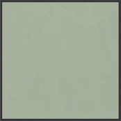 CEDIT POLICROMA CORNICE LICHENE MAT 6MM RETT 764103 120x120