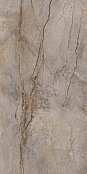 APAVISA WILD FOREST GREY POLISHED MIX 119,3x280