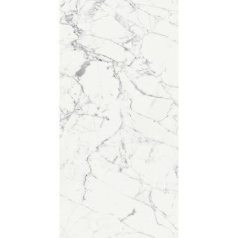 REX LES ORIGINES BLANC 769969 120X240X0,6