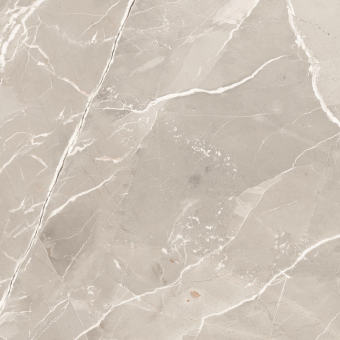 ENERGIEKER THUNDER ROAR NATURAL 120X120X9