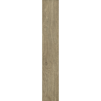 PARADYZ ALMONTE BROWN 19,8x119,8