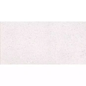 LASSELSBERGER RAKO PORFIDO DASV1810 WHITE 59,8X119,8