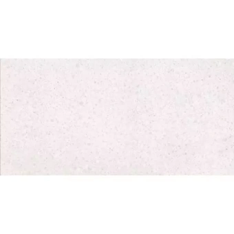 LASSELSBERGER RAKO PORFIDO DASV1810 WHITE 59,8X119,8