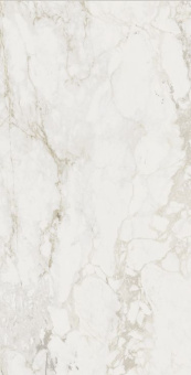 CENTURY MEDLEY PRINCE MOLATA RET 60X120