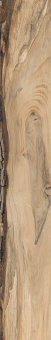 RONDINE SHERWOOD OAK 7,5X45