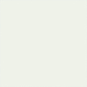 FANAL SNOW WHITE REC. NPLUS 90Х90