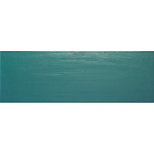 PAMESA CERAMICA CASA MAYOLICA ANDRIA BASALTO 20x60