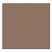 LASSELSBERGER RAKO TAURUS COLOR TAA26030 MOCCA 19,8Х19,8