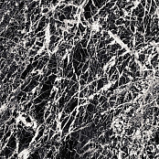 PIEMME VALENTINO MAJESTIC GLAM BLACK NAT/RET 60X60