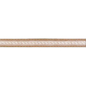 ARGENTA ORINOCO DENNISE 5x50