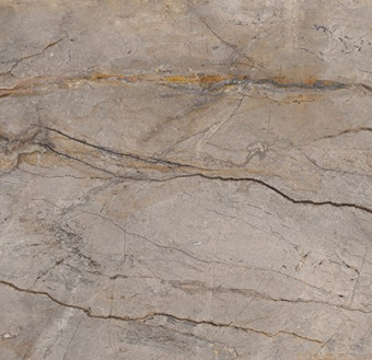 APAVISA WILD FOREST GREY POLISHED 59,55x59,55x0,6