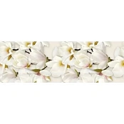 CERSANIT NAOMI INSERTO FLOWER 20X60