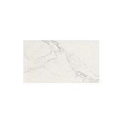 ATLAS CONCORDE MARVEL CALACATTA EXTRA 9P5L 30.5X56