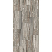 REX ETOILE TROPICAL GLOSSY RET 60X120X1