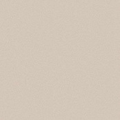 CERDISA EC1/22 / ECC CLERKENWELL NATURAL RETT 60X60