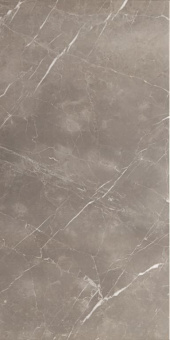 PAMESA PIAVE ARGENT LEVIGLASS 30Х60