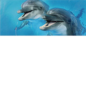 CER-ROL PORTO DOLFIN 2 CENTRO POL 25X60