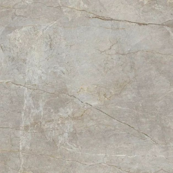 FIANDRE MARBLE LAB SILVER ROOT AF326X8120 120X120X0,8