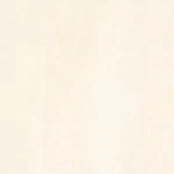 GOLDEN TILE STRADA GRAY RECT 60X120X1