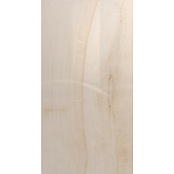 KUTAHYA OPAL BONE PRIME RT POLISH 240X120