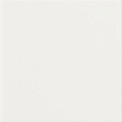 DADO UNICOLOR BIANCO MATT 20X20