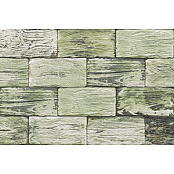 MAINZU LEGNO GREEN 10x20