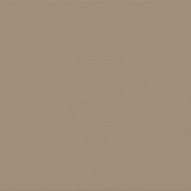 APE HOME EARTH 45x45