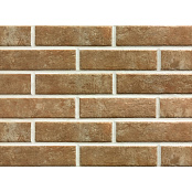 PARADYZ KLINKIER ILARIO OCHRA STRUKTURA ELEWACJA 24.5x6.6