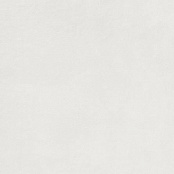 LASSELSBERGER RAKO EXTRA WHITE RECT. 59,8X59,8