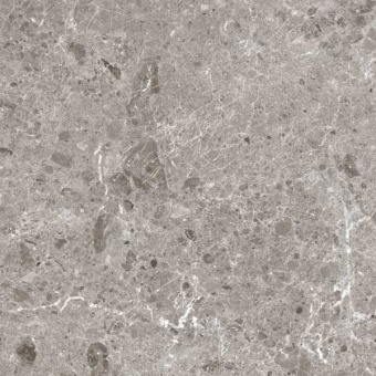 COVERLAM ARTIC GRIS PULIDO 5,6 ММ 120X120