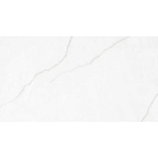 ROCERSA POLAR SILVER MAT RC 60X120