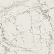 REX PREXIOUS OF REX MOUNTAIN TREASURE GLOSY 755868 60X60X1