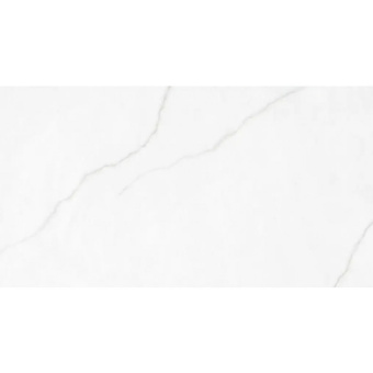 ROCERSA POLAR SILVER MAT RC 60X120