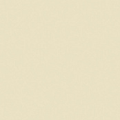 PARADYZ INWESTA GAMMA WANILIOWA SCIANA MAT 19,8X19,8