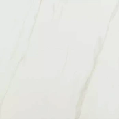 PAMESA AT. CEYLON MATE 60X60